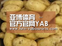 产品展示标题6
