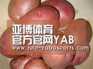 产品展示标题1