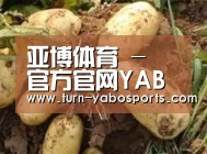 产品展示标题2