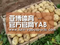 产品展示标题3