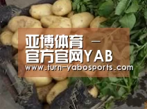 产品展示标题4