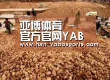 种植基地二