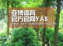 种植基地九