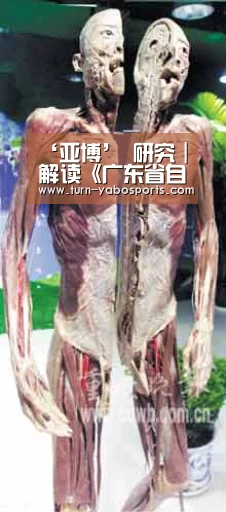 ‘亚博’
研究|解读《广东省自然资源统一确权挂号总体事情方案》(图4) Yabo亚博官方网站