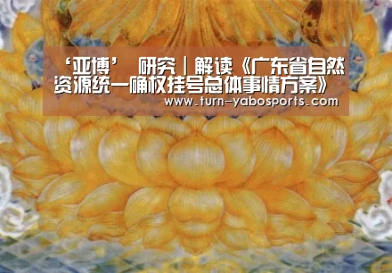 ‘亚博’
研究|解读《广东省自然资源统一确权挂号总体事情方案》(图2) 亚博