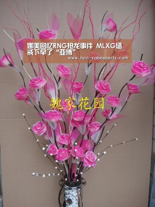 娜美回忆RNG抢龙事件 MLXG惩戒下早了“亚博”(图3) Yabo亚博官方网站