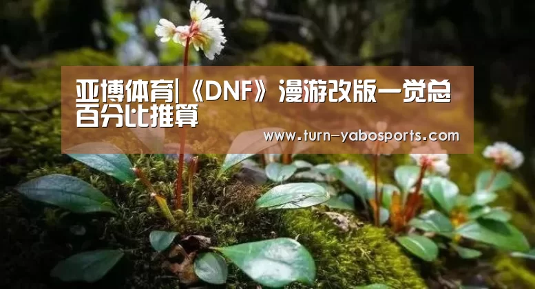亚博体育|《DNF》漫游改版一觉总百分比推算(图3) Yabo亚博官方网站
