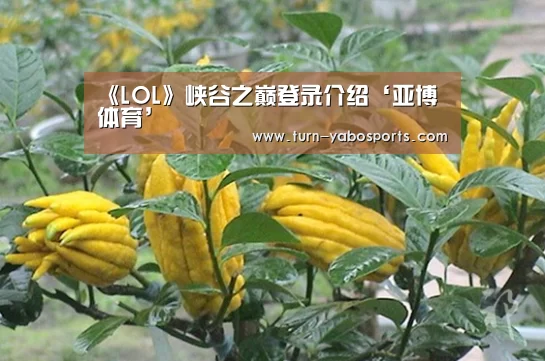 《LOL》峡谷之巅登录介绍‘亚博体育’(图1) 亚博体育