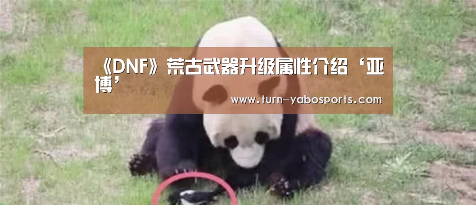 《DNF》荒古武器升级属性介绍‘亚博’(图4) Yabo亚博官方网站