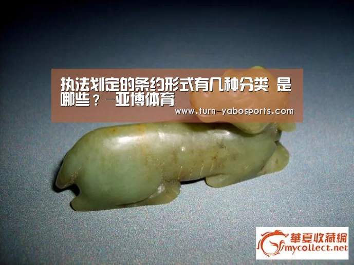 执法划定的条约形式有几种分类 是哪些?-亚博体育(图4) 亚博