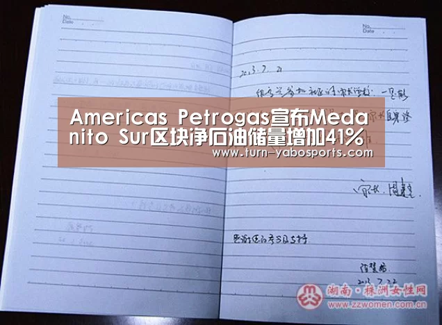 Americas Petrogas宣布Medanito Sur区块净石油储量增加41%‘Yabo亚博官方网站’(图1) Yabo亚博官方网站