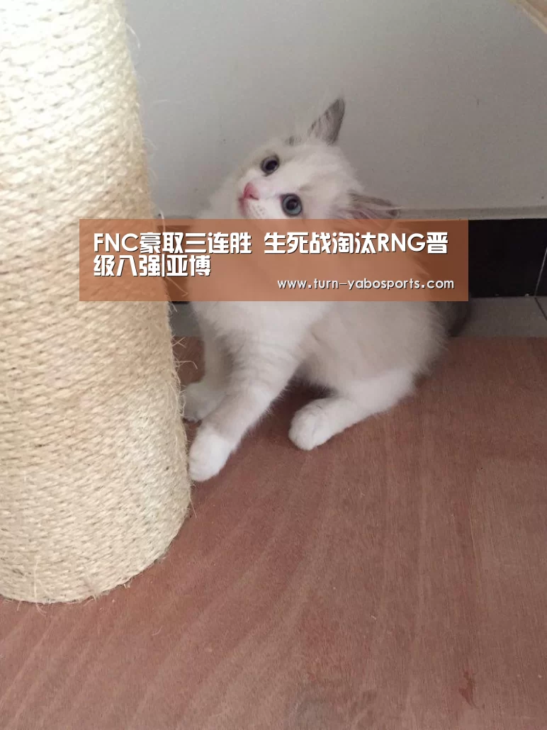 FNC豪取三连胜 生死战淘汰RNG晋级八强|亚博(图3) 亚博