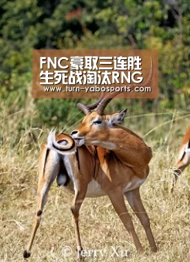 FNC豪取三连胜 生死战淘汰RNG晋级八强|亚博(图4) 亚博体育