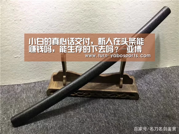小白的真心话交付,新人在头条能赚钱吗,能生存的下去吗?-亚博(图2) Yabo亚博官方网站
