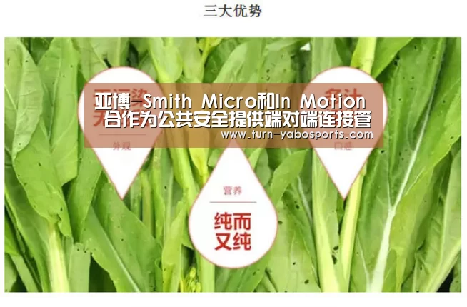 亚博-Smith Micro和In Motion 合作为公共安全提供端对端连接管理(图1) 亚博体育