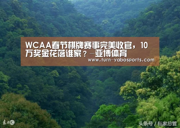 WCAA春节棋牌赛事完美收官,10万奖金花落谁家?-亚博体育(图2) 亚博体育